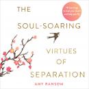 The Soul-Soaring Virtues of Separation: 111 Learnings to Heal Your Heart and Help You Fly Audiobook