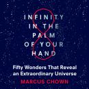 Infinity in the Palm of Your Hand: Fifty Wonders That Reveal an Extraordinary Universe Audiobook