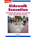 Sidewalk Sensation: Artist David Zin creates 3-D drawings using only chalk and charcoal. Audiobook
