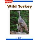Wild Turkey Audiobook