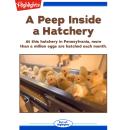 A Peep Inside a Hatchery Audiobook