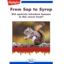 From Sap to Syrup Audiobook