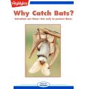 Why Catch Bats? Audiobook
