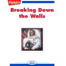 Breaking Down the Walls: Flashbacks Audiobook