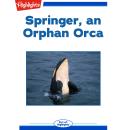 Springer,  an Orphan Orca Audiobook