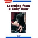 Learning from a Baby Bear Audiobook