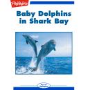 Baby Dolphins in Shark Bay Audiobook