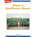 Plant a Sunflower House Audiobook