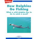 How Dolphins Go Fishing: What a wild dolphin has to do to catch a meal! Audiobook