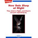 How Bats Slurp at Night Audiobook