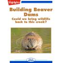 Building Beaver Dams: Could We Bring Wildlife Back to This Creek? Audiobook