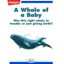 A Whale of a Baby Audiobook