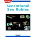 Sensational Sea Babies Audiobook