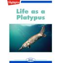 Life as a Platypus Audiobook