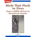 Birds That Flock to Fires: Some Wildlife Thrives in Burned-Out Forests Audiobook