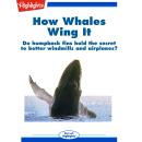 How Whales Wing It Audiobook