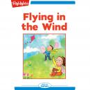 Flying in the Wind Audiobook
