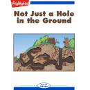 Not Just a Hole in the Ground Audiobook