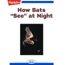 How Bats 