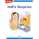 Indi's Surprise Audiobook