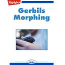 Gerbils Morphing Audiobook