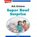 Super Bowl Surprise: Ask Arizona Audiobook