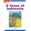 A Sense of Indonesia Audiobook