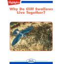 Why Do Cliff Swallows Live Together? Audiobook