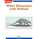 What Dinosaurs Left Behind Audiobook