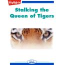 Stalking The Queen of Tigers Audiobook