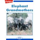 Elephant Grandmothers Audiobook