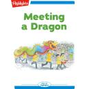 Meeting a Dragon Audiobook