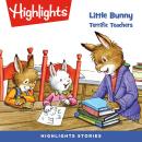 Terrific Teachers: Little Bunny Audiobook