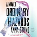 Ordinary Hazards: A Novel