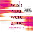 Wish You Were Gone Audiobook