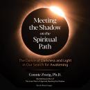 Meeting the Shadow on the Spiritual Path: The Dance of Darkness and Light in Our Search for Awakenin Audiobook