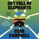 Sky Full of Elephants Audiobook