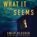 What It Seems Audiobook