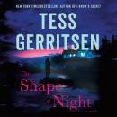The Shape of Night: A Novel