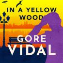 In a Yellow Wood, Gore Vidal