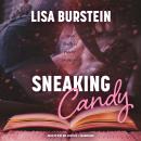 Sneaking Candy Audiobook
