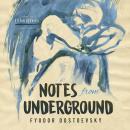 Notes from Underground Audiobook