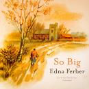 So Big Audiobook