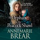 The Orphan in the Peacock Shawl - A gripping historical novel from AnneMarie Brear (Unabridged) Audiobook