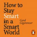 How to Stay Smart in a Smart World: Why Human Intelligence Still Beats Algorithms Audiobook
