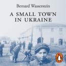 A Small Town in Ukraine: The place we came from, the place we went back to Audiobook