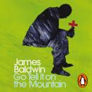Go Tell it on the Mountain Audiobook