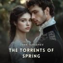 The Torrents of Spring Audiobook