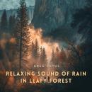 Relaxing Sound of Rain in Leafy Forest: For Deep Sleep and Relaxation Audiobook