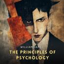 The Principles of Psychology, Volume 2 Audiobook